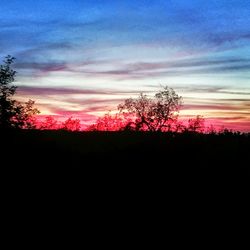 Silhouette of trees at sunset