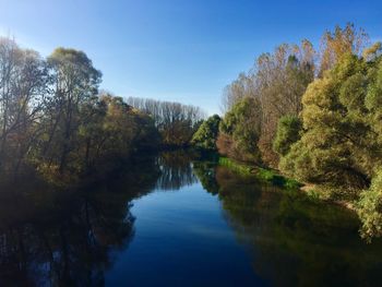 Reflection of trees in lake against sky