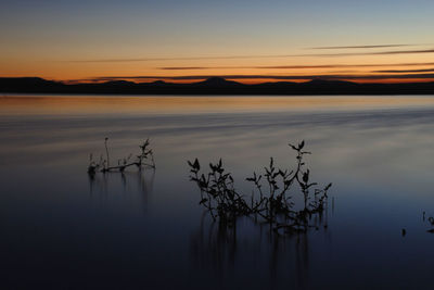 Scenic view of calm sea at sunset