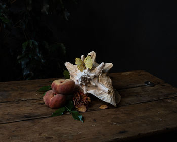 Close-up of white flowers on table against black background