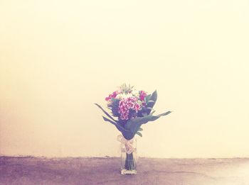 Close-up of pink flowers against wall