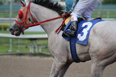 Low section of jockey riding on horse over field