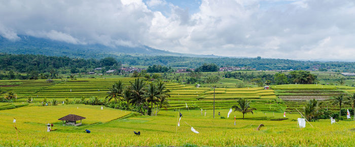 Panoramic view of agricultural field against sky