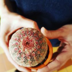 Close-up of human hand