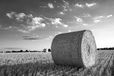 Hay bales in cotswolds monochrome 