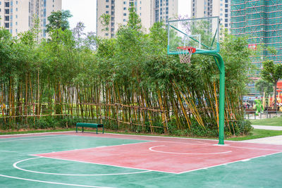 Scenic view of basketball hoop by trees in city