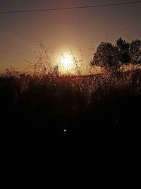 Silhouette trees against sky during sunset