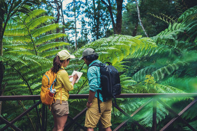 Rear view of people walking in forest