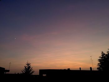 Low angle view of silhouette trees against sky at sunset