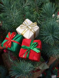 Close-up of christmas decorations on tree