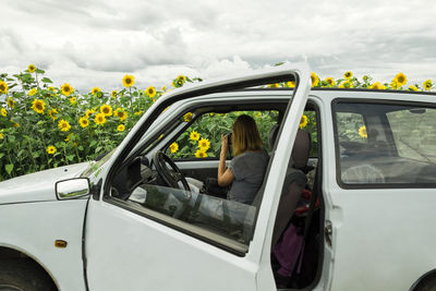 Woman photographing sunflower field while sitting in car