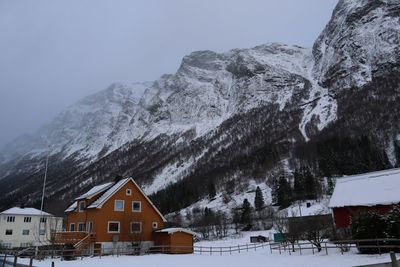 Snow covered trees and buildings against sky