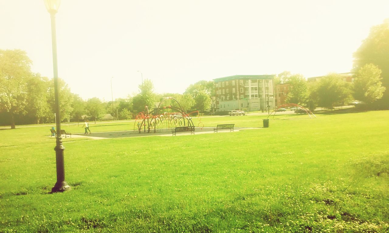 grass, clear sky, tree, lawn, green color, park - man made space, grassy, field, sunlight, park, growth, built structure, nature, bench, sun, grassland, copy space, tranquility, day, outdoors