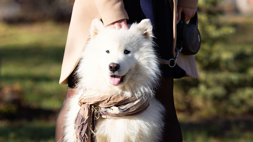 Midsection of woman with dog