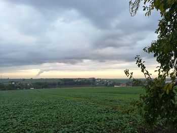 Scenic view of grassy field against cloudy sky