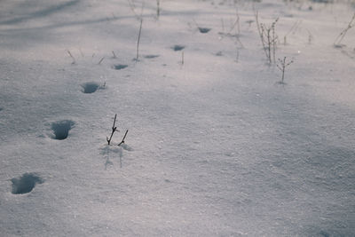 Snow on sand