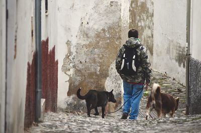 Rear view of man walking with dog