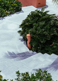 High angle view of woman in swimming pool