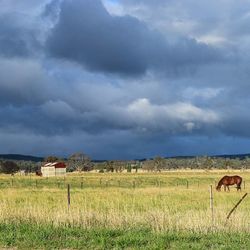 Scenic view of grassy field against cloudy sky