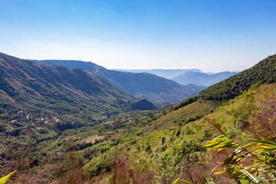 Mountain range covered with dense green forests and bright blue sky at morning 