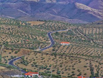 High angle view of agricultural field