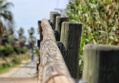 Low section of wooden poles