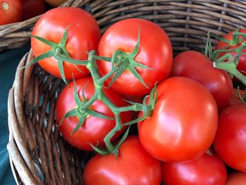 High angle view of tomatoes in basket on table