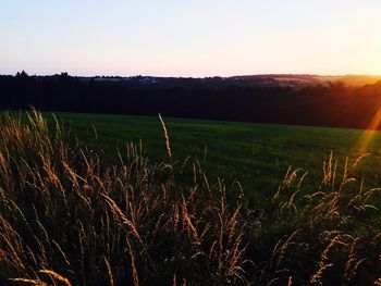 Scenic view of field against sky during sunset