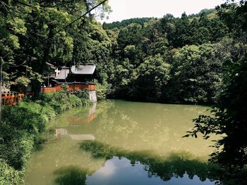 Reflection of trees in lake