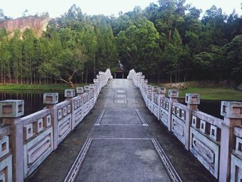 Empty footbridge along plants and trees