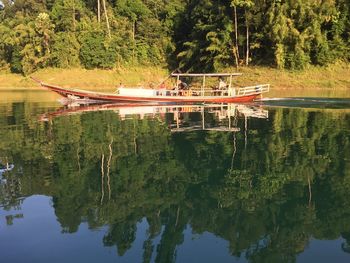 Scenic view of lake in forest