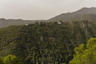 Scenic view of trees and mountains against sky