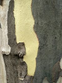 Full frame shot of weathered wall