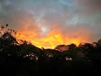 Silhouette trees against sky during sunset