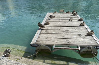 High angle view of pier on lake