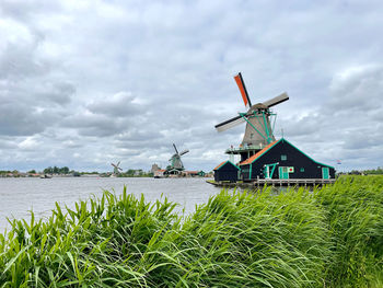 Zaanse schans in the netherlands. a lot of tourist come to visit this place.