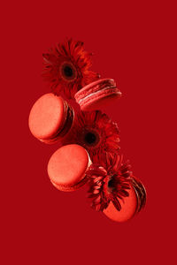 Macarons and red flowers. abstract