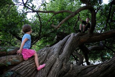 Side view of girl playing on tree trunk in park
