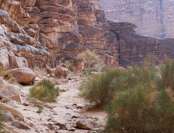 Rock formations in a desert