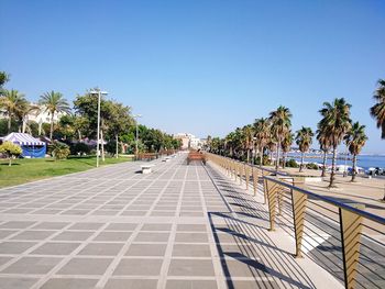 Footpath by palm trees against clear blue sky