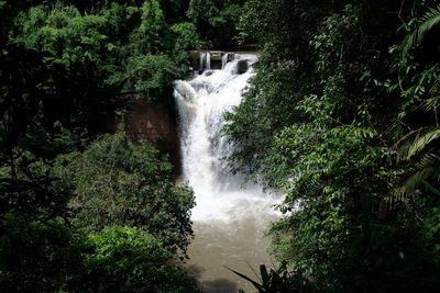 Scenic view of waterfall in forest