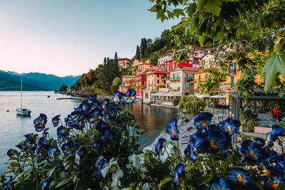 Panoramic view of the village of varenna on lake como with colorful flowers in the foreground