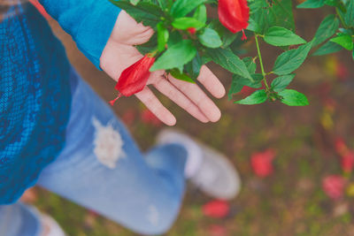 Low section of woman touching flowering plant