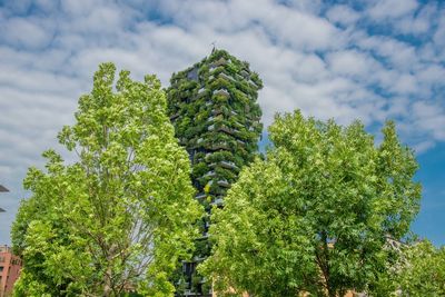 Low angle view of trees against sky