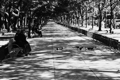 People sitting on footpath in park