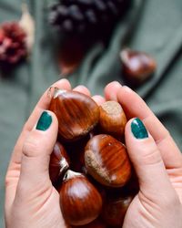 Close-up of hand holding eggs