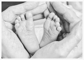 Close-up of baby holding hands