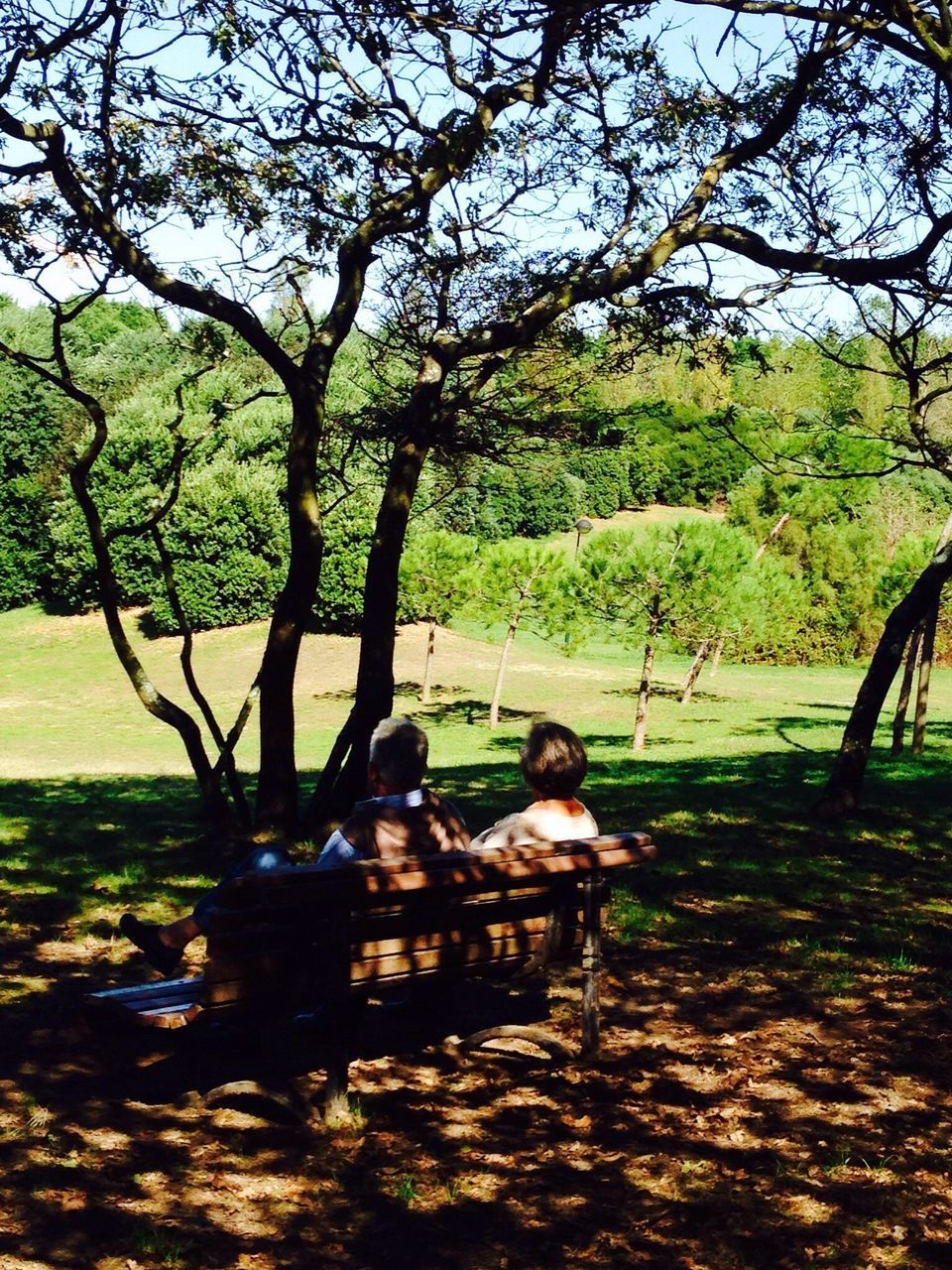 tree, lifestyles, leisure activity, sitting, park - man made space, full length, men, togetherness, tree trunk, relaxation, bonding, person, sunlight, casual clothing, branch, nature, childhood