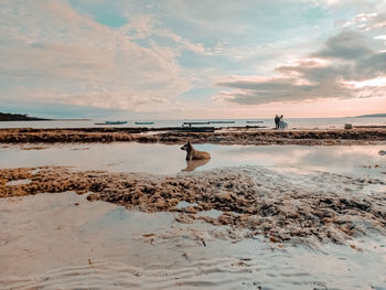 Scenic view of beach against sky during sunset