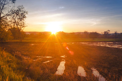 Scenic view of field against sky during sunset